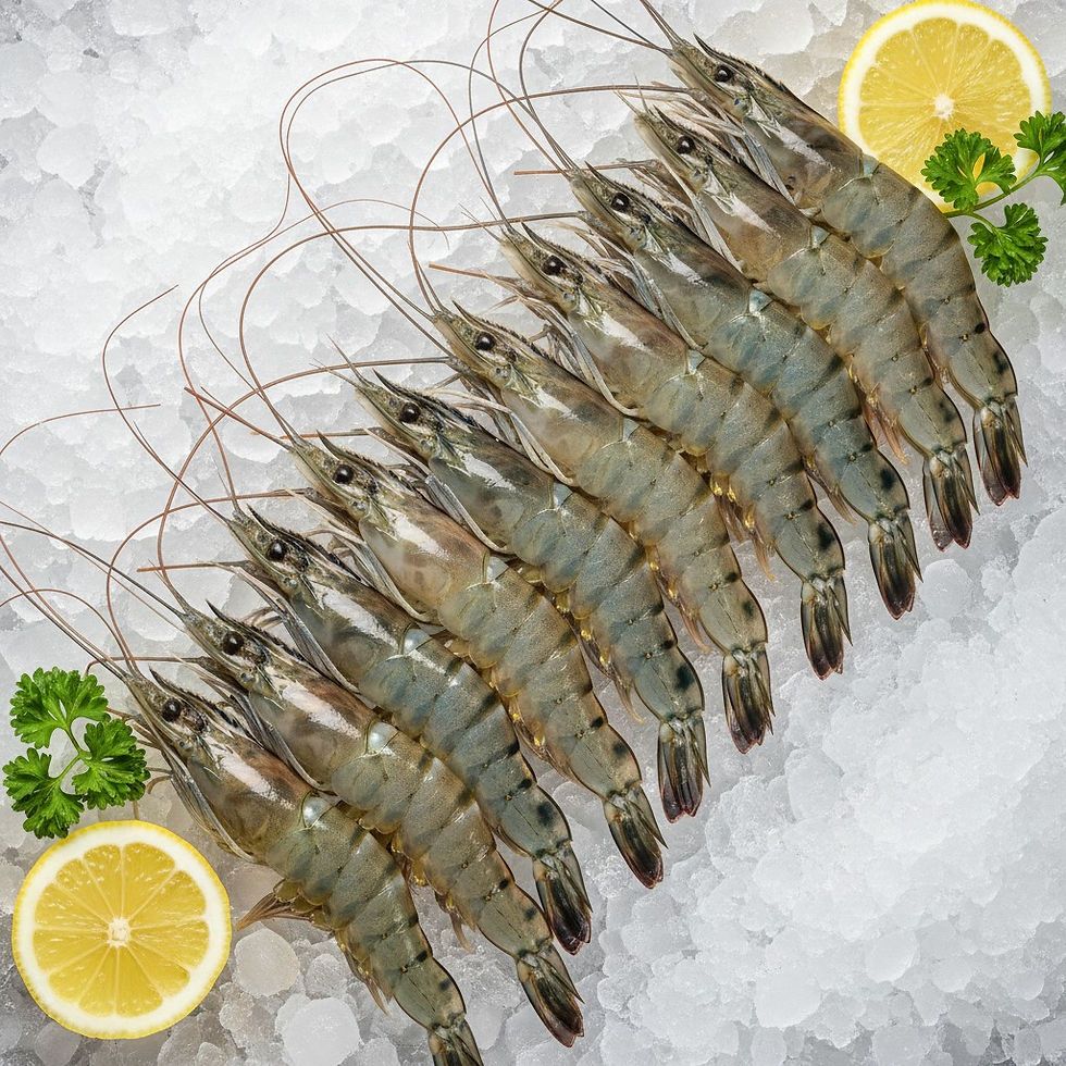 Prawn - jpg.jpg