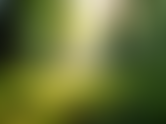 Malagueño abrió sesiones con eje en infraestructura: agua, cloacas y salud como banderas de gestión