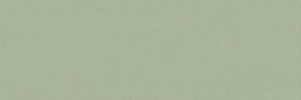 fon5.png