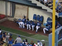 baseball bullpen throwing program arm pain