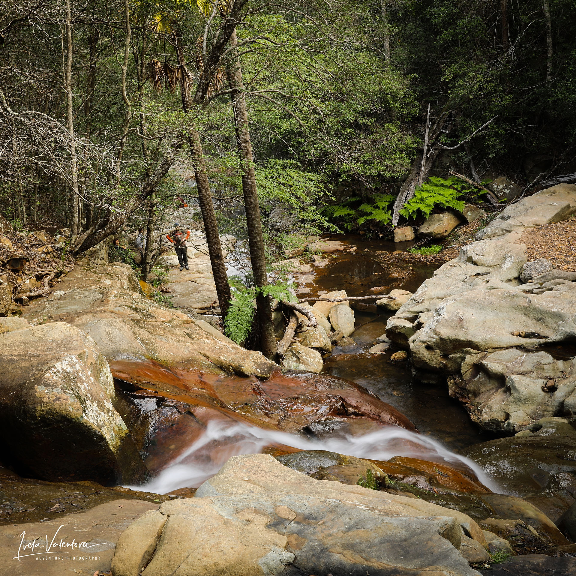 Cascades Rainforest Walk