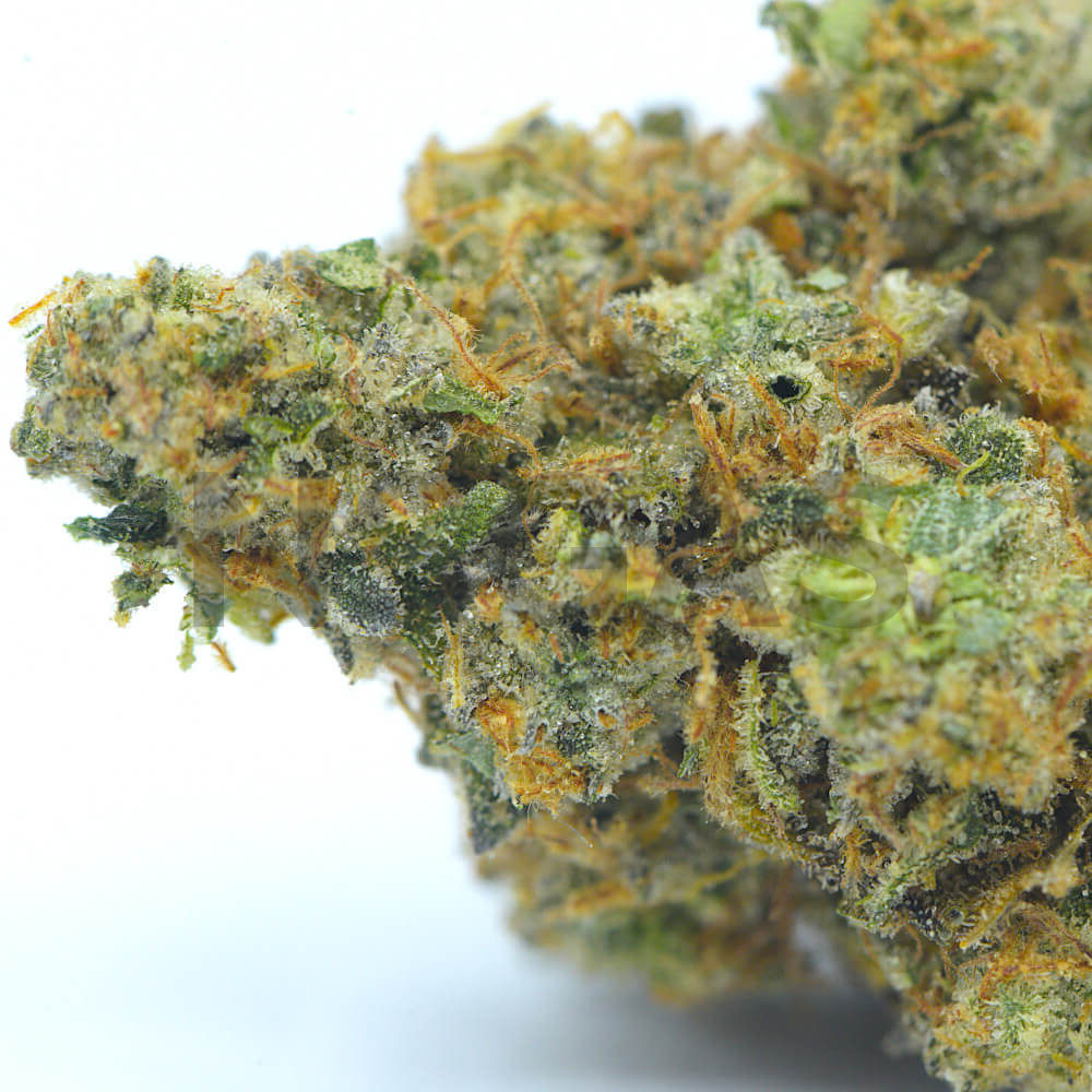 Garlic Earth Scout Cookies AAAA