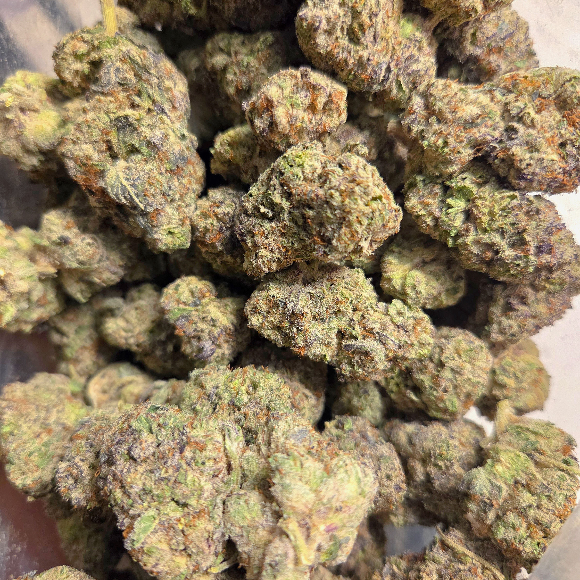 Galaxy Warhead AAAA+