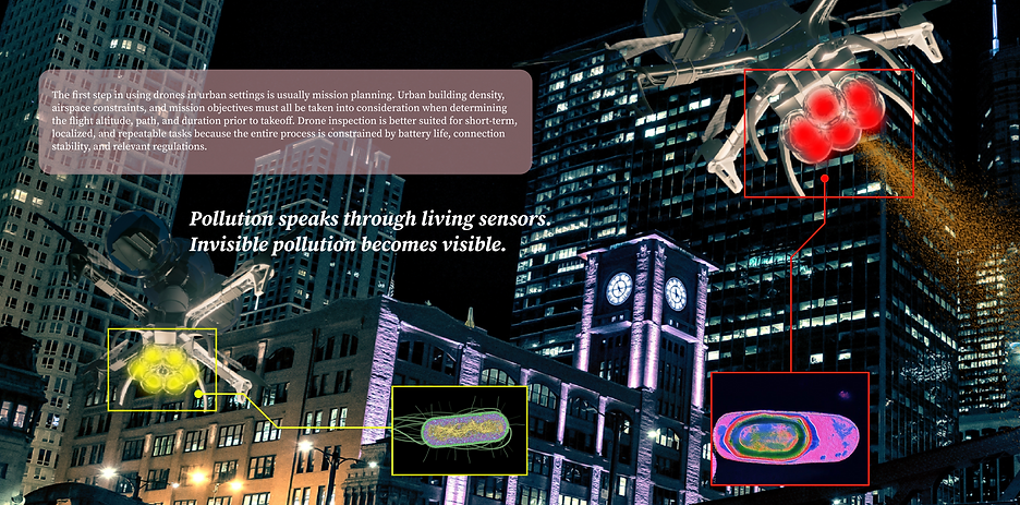 截屏2025-12-27 上午5.51.49.png