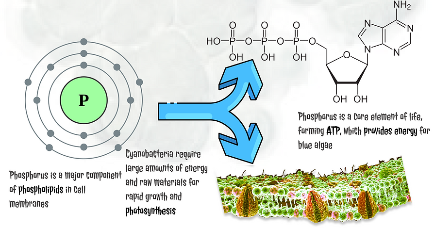 截屏2025-12-28 上午3.57.16.png