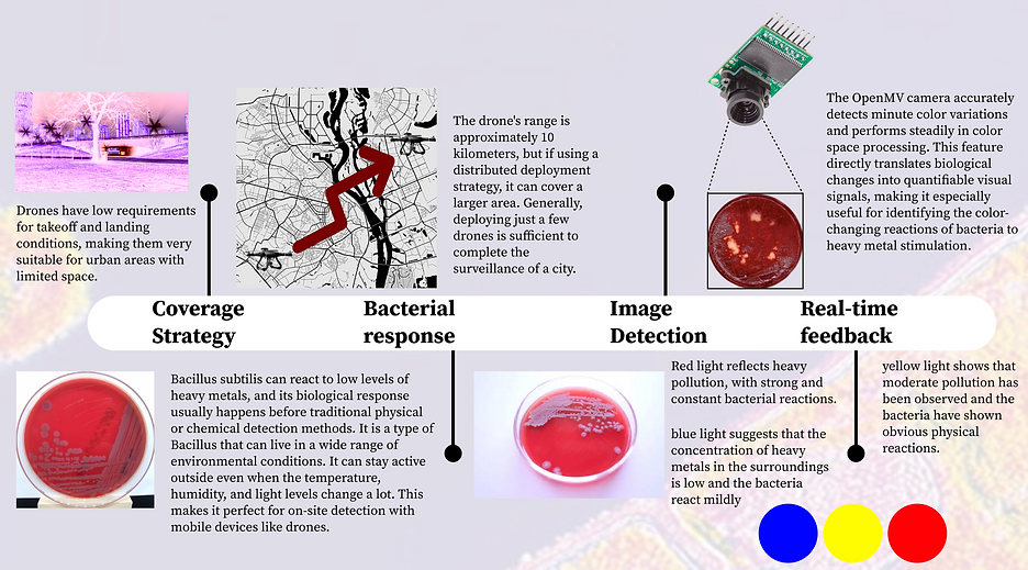 截屏2025-12-27 上午4.12.10.png
