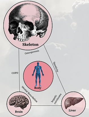 截屏2025-12-27 上午3.25.33.png