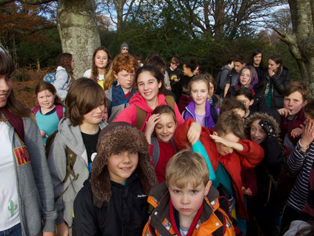 Autumn Walk 2018