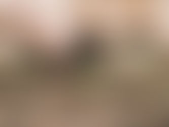 Embrace Earth’s Dirt! COMPOSTING 101