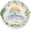 upstream2_edited.png