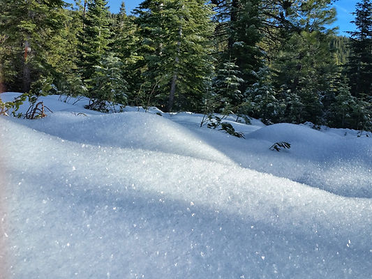 Hoar frost
