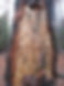 A tree trunk with beetle engravings