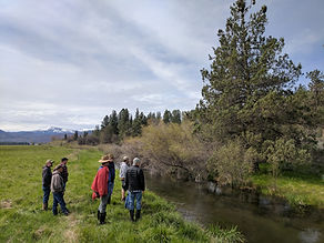 Project partners survey Hat Creek