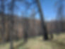 A severly burned area