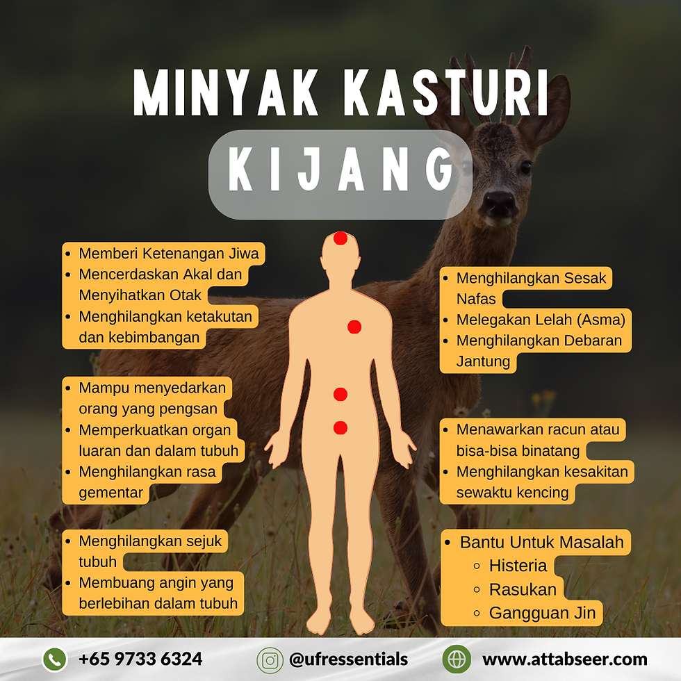 Thumbnail: Minyak Kasturi Kijang + Saffron