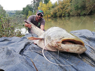 Pesca,carpa,siluro,trota,fiume,mare,montature,spinning,surfcasting,storione,terminale,mosc