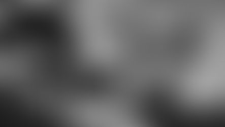 My profile picture about my macrophotography blog