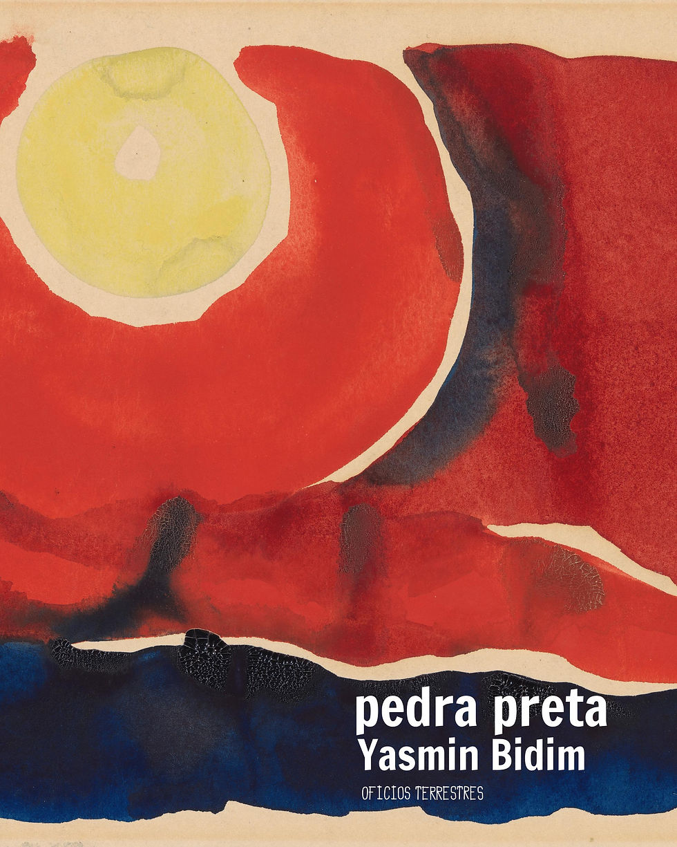 Pedra petra