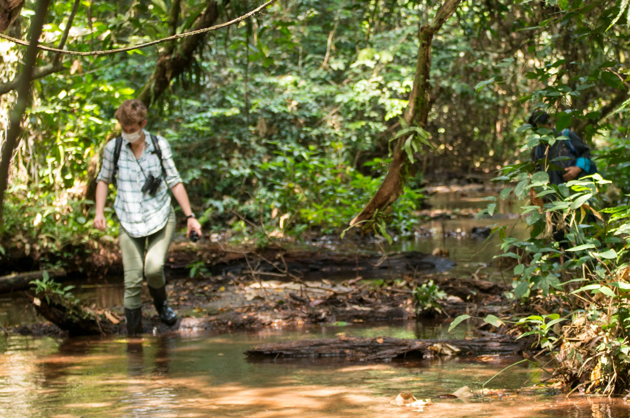 Dr. Graham walking forward through a creek in a jungle