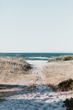 marten-bjork-iXed2ZaTobo-unsplash (1).jpg