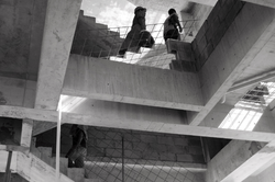 17_Copy_Sandra Zabala_AM.png