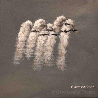 Week 17: Big Sky Ballet (39 minutes 16 seconds)
