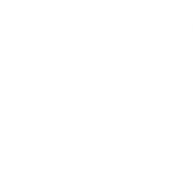racex logo