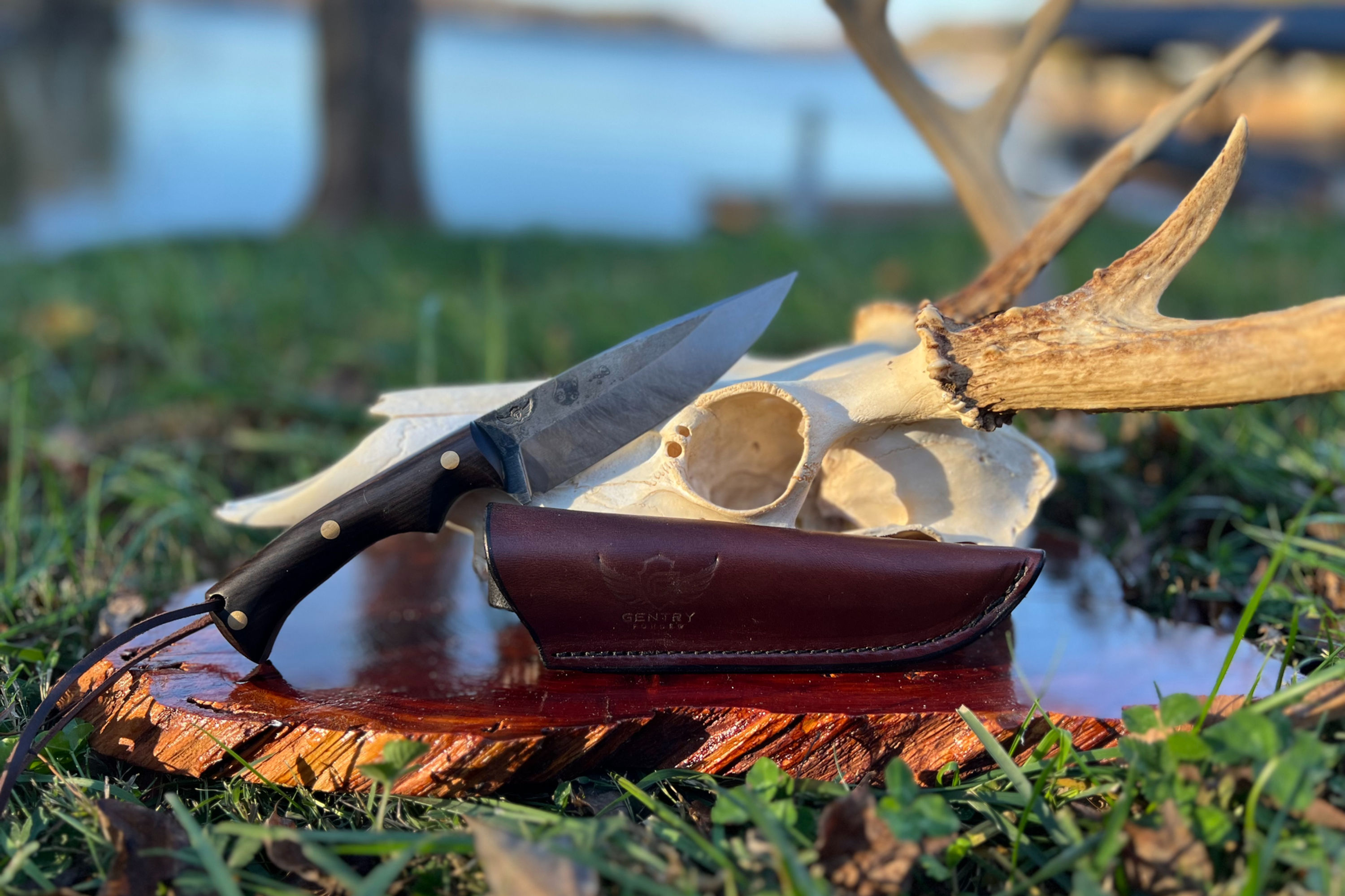 African Blackwood Clip Point