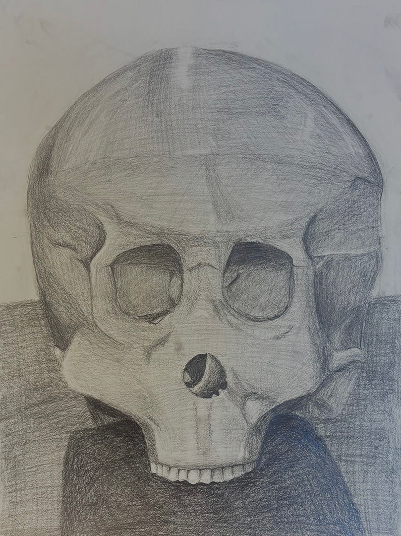 Anatomy in Graphite_McCluskey