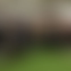 Welche Kosten verursacht eine „Rasenheizung“?