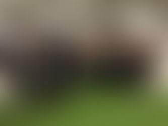Welche Kosten verursacht eine „Rasenheizung“?
