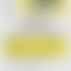 HAK-Aktiv in der Weberzeile