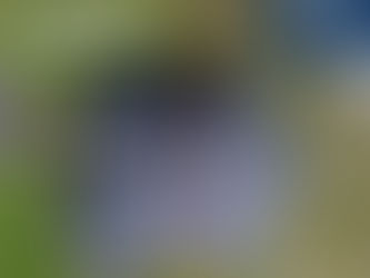 Robotic Lawnmowers: The Future of Lawn Care, Homeowners.