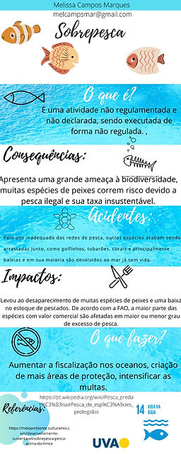 INFOGRAFICO-ODS14 005.jpeg