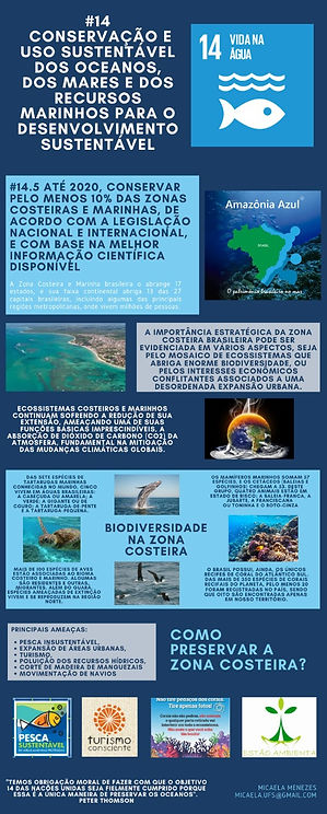 INFOGRAFICO-ODS14 003.jpeg