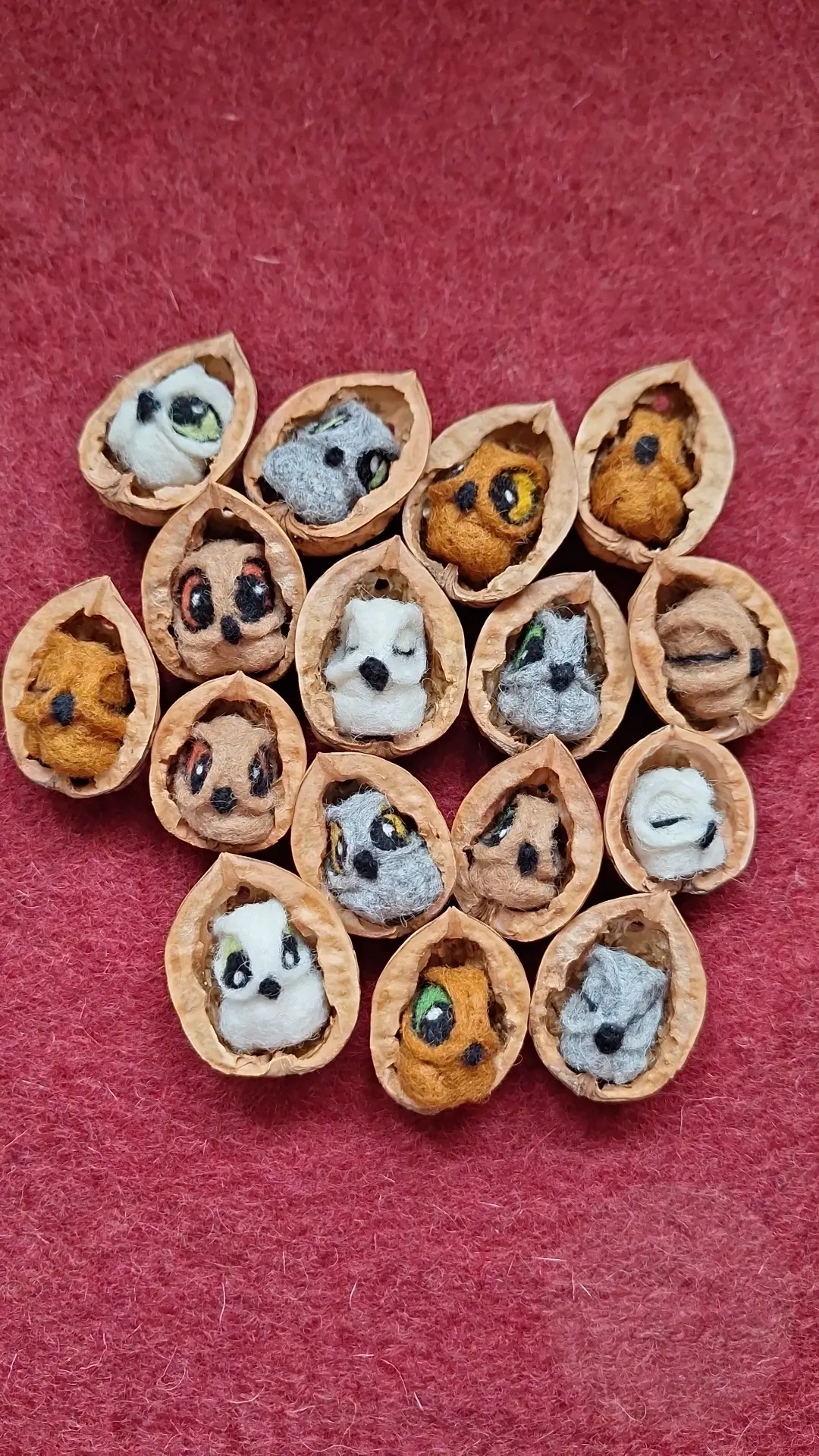 Eule in Walnussschale