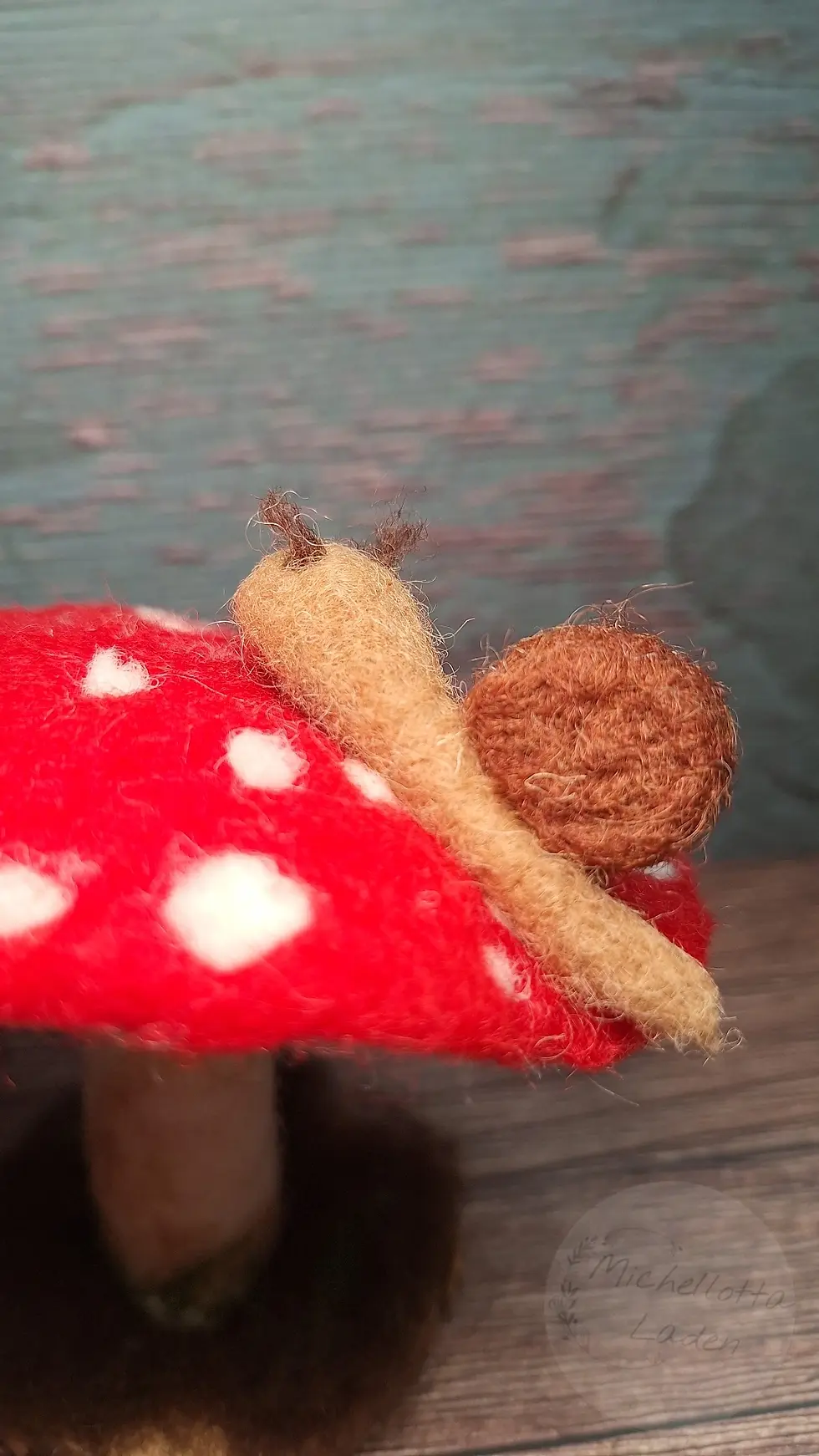 Miniaturbild: Fliegenpilz mit Schnecke