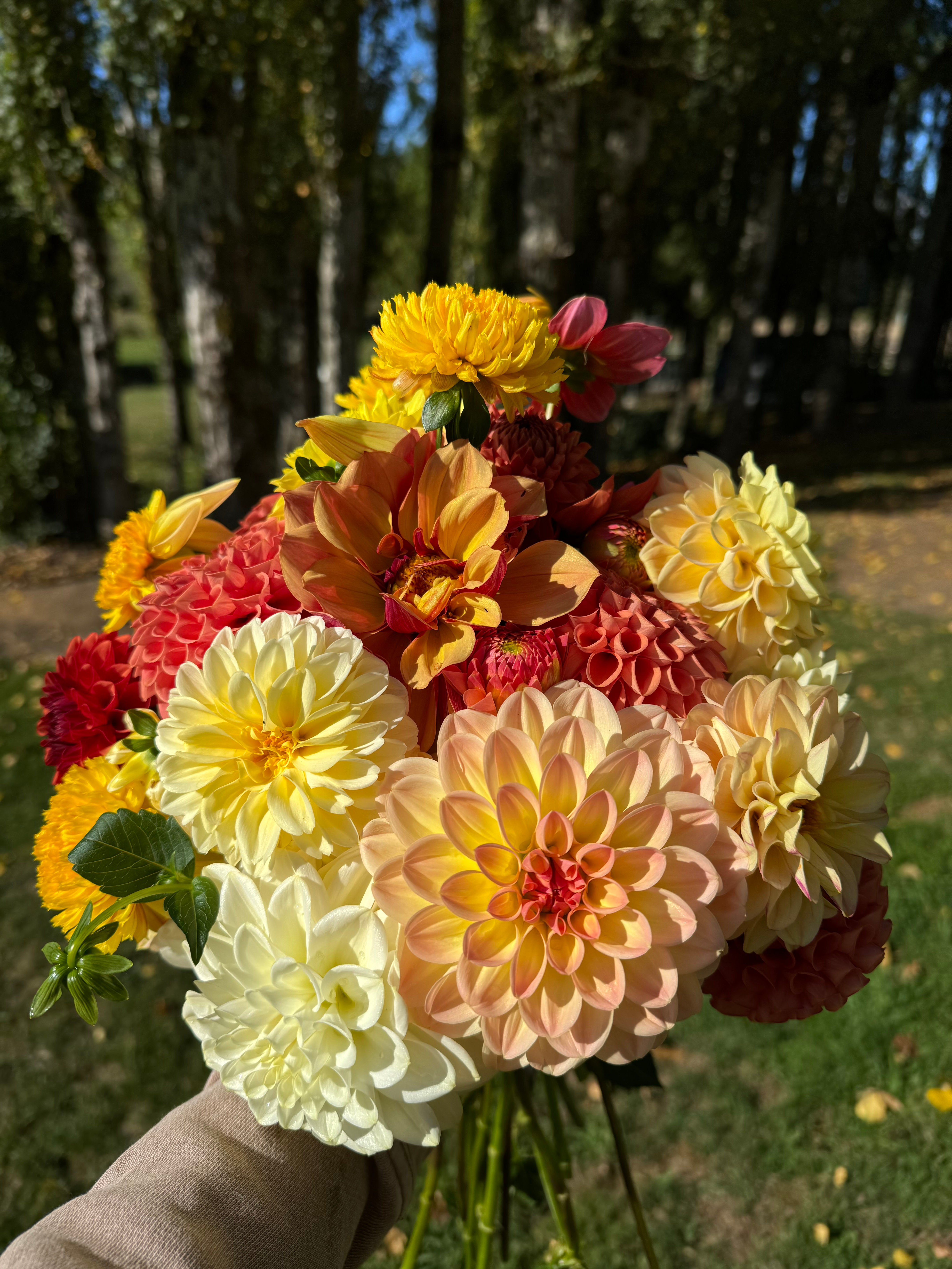 September Flower Subscription