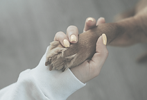 Holding Paw_edited.png