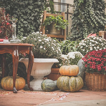 Royal Oaks & East Garden Autumn