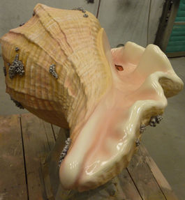 Shell_3117_1.jpg