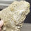 Thumbnail: Rielaspis sp. 2-sided Multiplate dorsal/ventral/enrolled