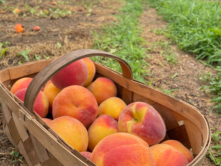 How to Use Fresh Peaches Like a Pro: 5 Unexpected Ways to Celebrate Peach Season