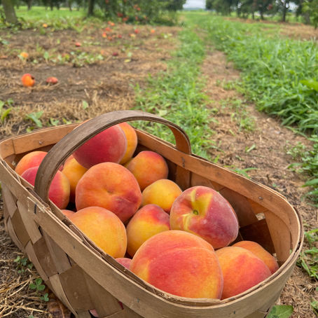 How to Use Fresh Peaches Like a Pro: 5 Unexpected Ways to Celebrate Peach Season