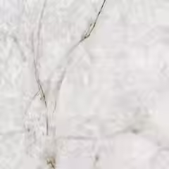 Neolith Himalaya Crystal