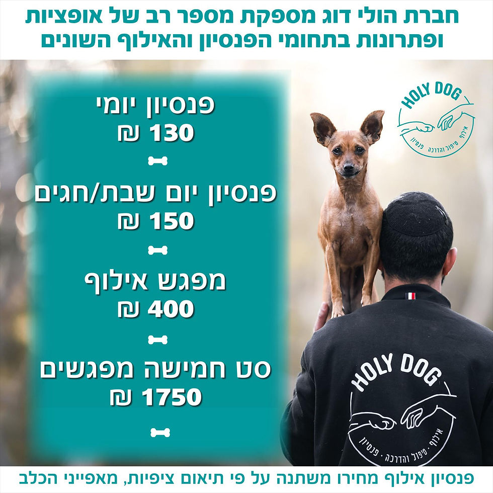 WhatsApp Image 2025-01-10 at 08.01.22