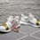 Thumbnail: Adidas Ultra Boost x Off White (custom)