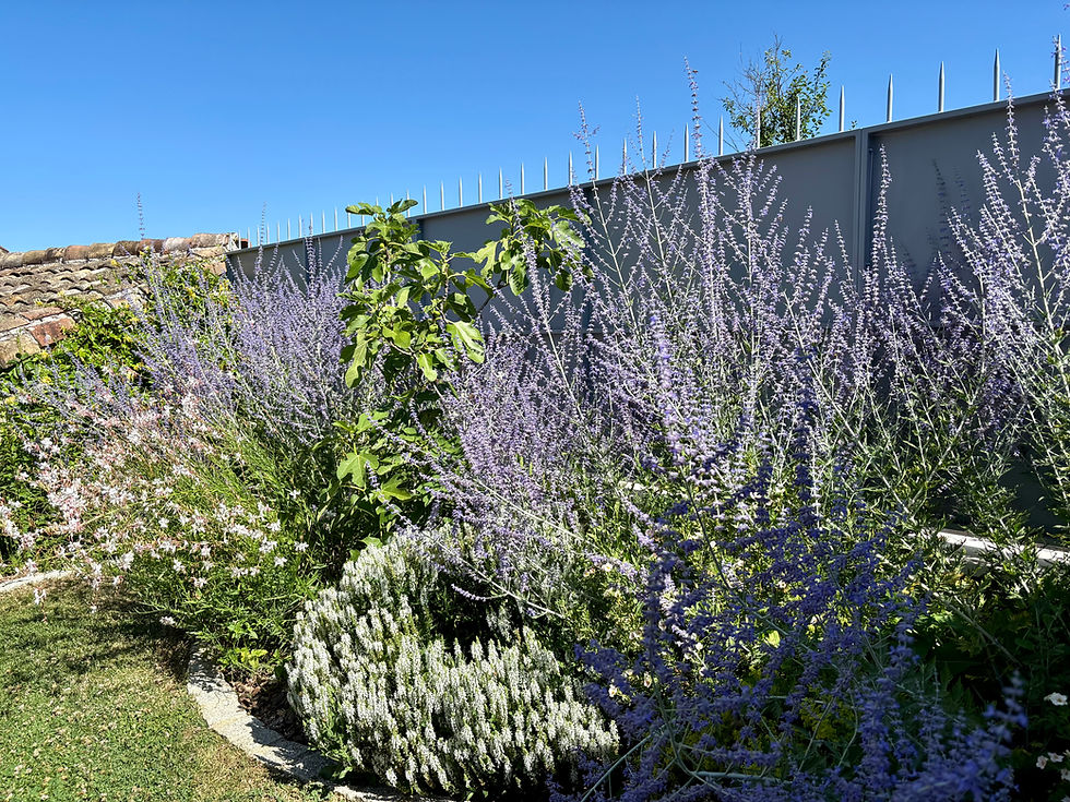Aménagement paysager d'un jardin avec création d'un préau - Beaujolais