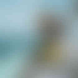 Belize charter yacht vacations 