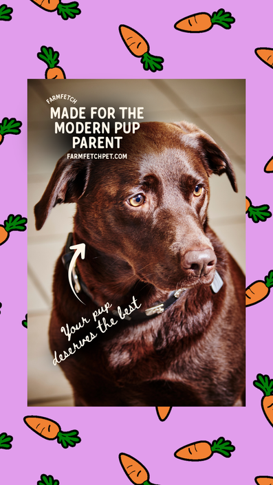 Your Pup Story